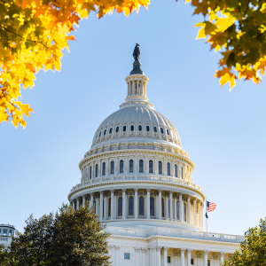 U.S. Capitol Dome with blue sky in the background and yellow leaves in the foreground.